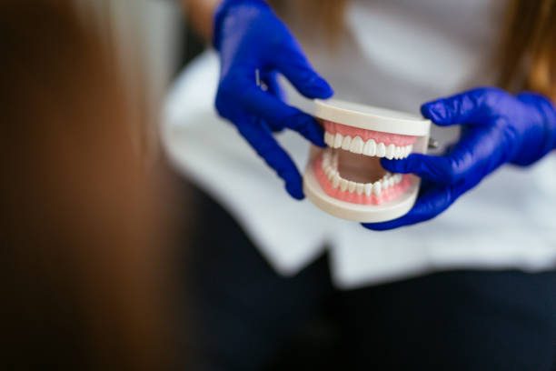 Professional Dental Services in Galesville, MD